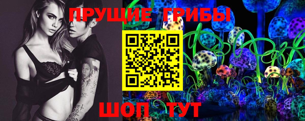 Псилоцибиновые грибы Psilocybe Торжок